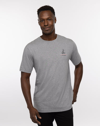 Bell Rock Tee Heather Grey | Travis Mathew New